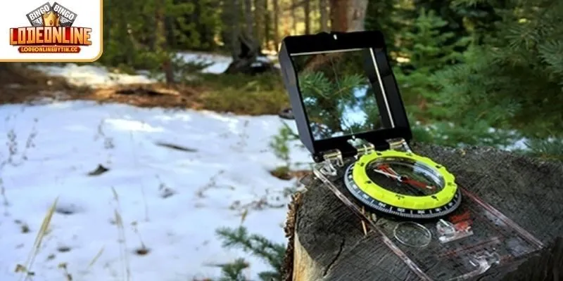 Mơ thấy đi lạc đường đánh con gì gặp may